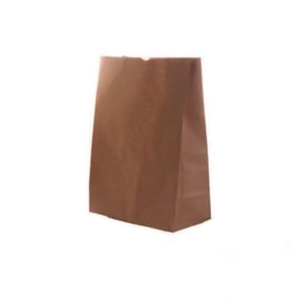 Brown Paper Bag Medium